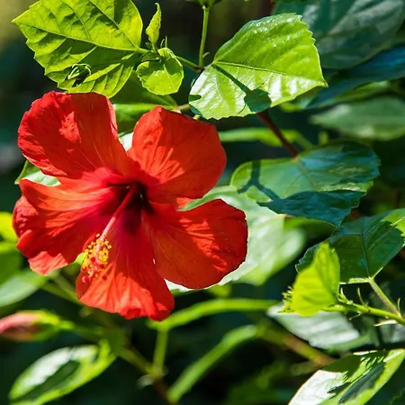 Appartement La Casa Di Efi *