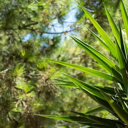 דירה La Casa Di Efi *